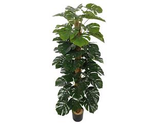 Artificial Money Plant (Monstera) with decorative pot 180cm