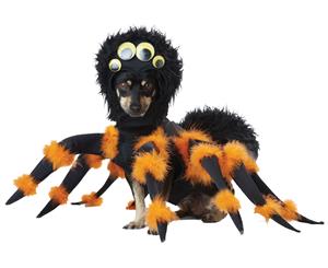 Black Orange Pet Dog Spider Costume