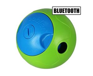 Bluetooth Foobler Puzzle Feeder