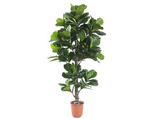 Cooper & Co. Artificial Fiddle Leaf 190cm Home Decor Faux Plant in Pot Indoor