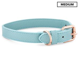 Dudley's World Of Pets Medium Dog Collar - Teal