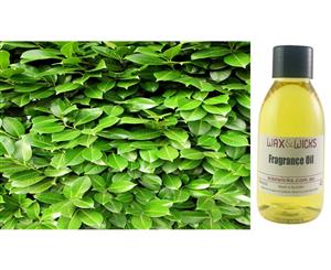 Fresh Garden Leaves - Fragrance Oil