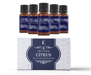 Mystic Moments Citrus Essential Oils Gift Starter Pack