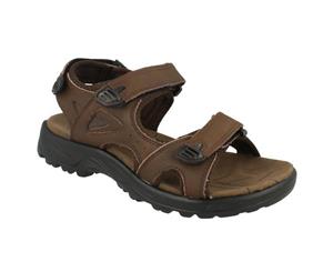 Northwest Territory Mens Arabia Sandals (Brown Leather) - KM779