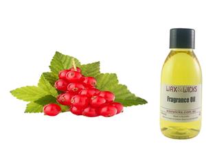 Red Currant - Fragrance Oil