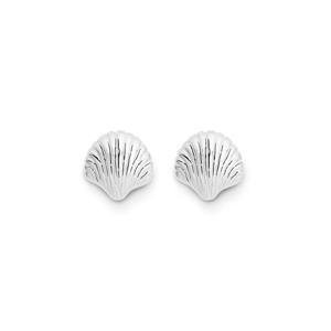 Silver Sea Shell Stud Earrings