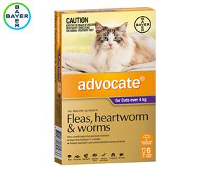 Advocate Flea & Worm Treatment For Cats 4kg+ 6pk