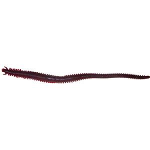 Berkley Gulp Sandworm Soft Plastic Lure 6in