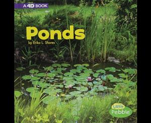 Bodies of Water  Ponds  A 4D Book