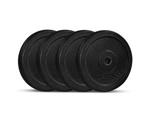 Cortex 2.5kg Cast Iron Plates (4 Pack)