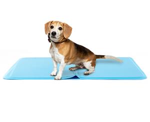 Dog 50x40cm Cooling Mat - Medium