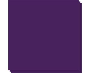 Frisk Pearl Card A4 Deep Purple Pack of 25 (Pack)