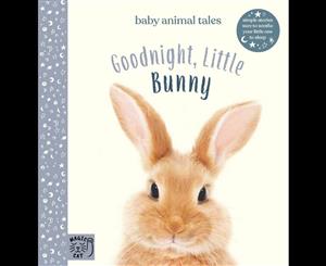 Goodnight Little Bunny  Simple stories sure to soothe your little one to sleep