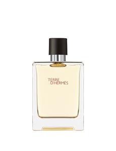 Terre d'Herm s Eau de toilette 100 ml