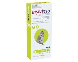 Bravecto Spot-On Flea & Tick Treatment For Small Cats 1.2-2.8kg 2pk