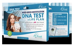 DNA Collection Kit for Dog Breed Identification DNA Test Plus LifePlan