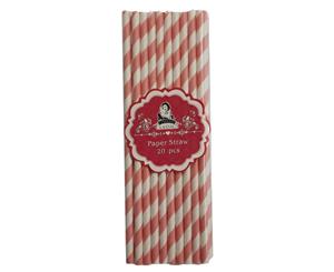 Environmentally Friendly Pink and White Paper Straws Pack of 20