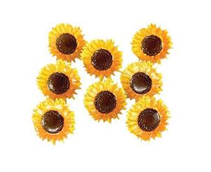 Eyelet Outlet Shape Brads 12 pack - Sunflower