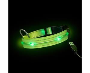 Loomo LED Dog Collar Green