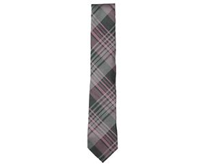 Ryan Seacrest Distinction Mens Lavine Silk Plaid Regular Tie