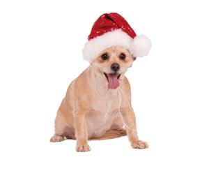 Sequin Santa Hat Pet Costume