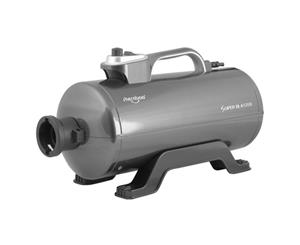 Shernbao Super Blaster Dual Motor Dryer DHD2400T