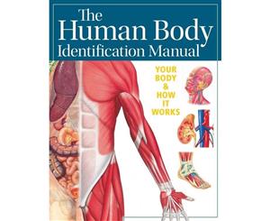 The Human Body Identification Manual  Your Body & How It Works