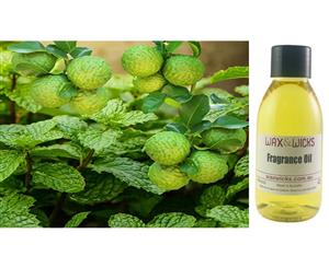 Wild Mint & Bergamot - Fragrance Oil