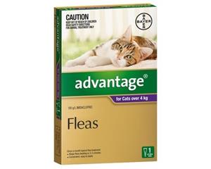 Advantage Cat Fleas Treatment Over 4kg Purple 1's (B9103)