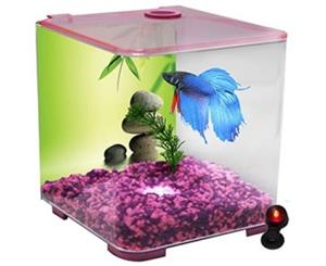 Betta Style Acrylic Fighting Fish Tank with LED Light - Pink - 3 Litres (Aqua One)