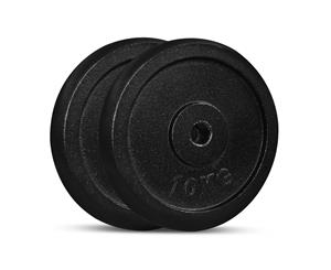 Cortex 10kg Cast Iron Plates (2 Pack)