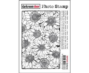 Darkroom Door - Photo Cling Stamp 4.6 inch X3.2 inch - Gerberas