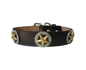 Dog Collar Brown Leather Handcrafted Antique Plated Texas Stars 40.5Cm - Brown