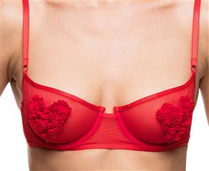 Plain Label Women's Lover Lover Tulle Bra - Red