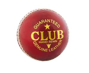 Readers Club Cricket Ball