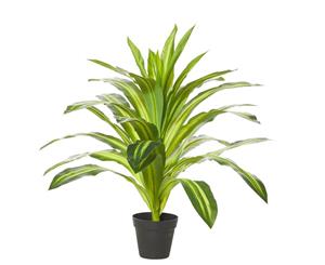 Rogue Plastic Man-Made Fabric Metal Faux Dracaena Plant-Garden Pot 65x60cm