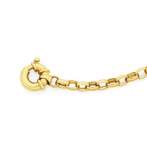 9ct Gold 19cm Oval Belcher Bolt Ring Bracelet