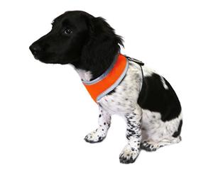 AB Tools Rosewood Night Dog Walking Reflective Padded Harness (Small)