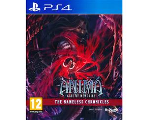 Anima Gate of Memories Nameless Chronicles PS4 Game