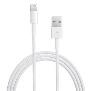 Apple Lightning To USB Cable (1m)