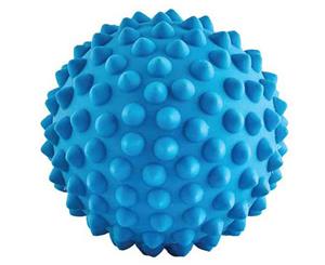 Aussie Dog 9cm Catch Ball - Blue