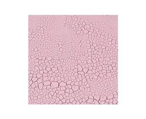 Crackle Paint China Pink