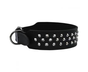 Dog Collar Staffy/Bull Terrier Leather with Studs 43mm - Black