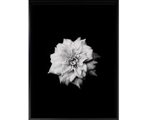 Flower Burst canvas art print - 75x100cm - Black