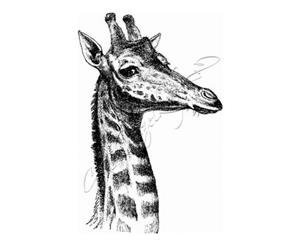 Katzelkraft - Rubber stamp Giraffe - French style