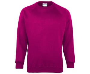 Maddins Mens Coloursure Plain Crew Neck Sweatshirt (Raspberry) - RW842