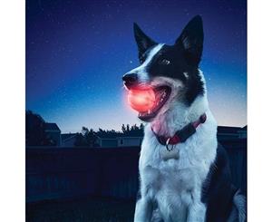 Nite Ize GlowStreak LED Motion Activated Pet Dog Ball - Red