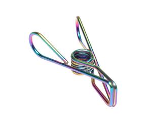 Rainbow Stainless Steel Infinity Clothes Pegs 100 Pack