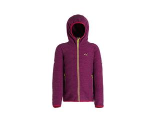 Regatta Childrens/Kids Totten Fleece (Camellia Purple) - RG3921