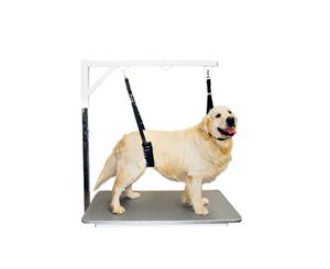 Show Tech Comfort Belly Strap for Big Dog